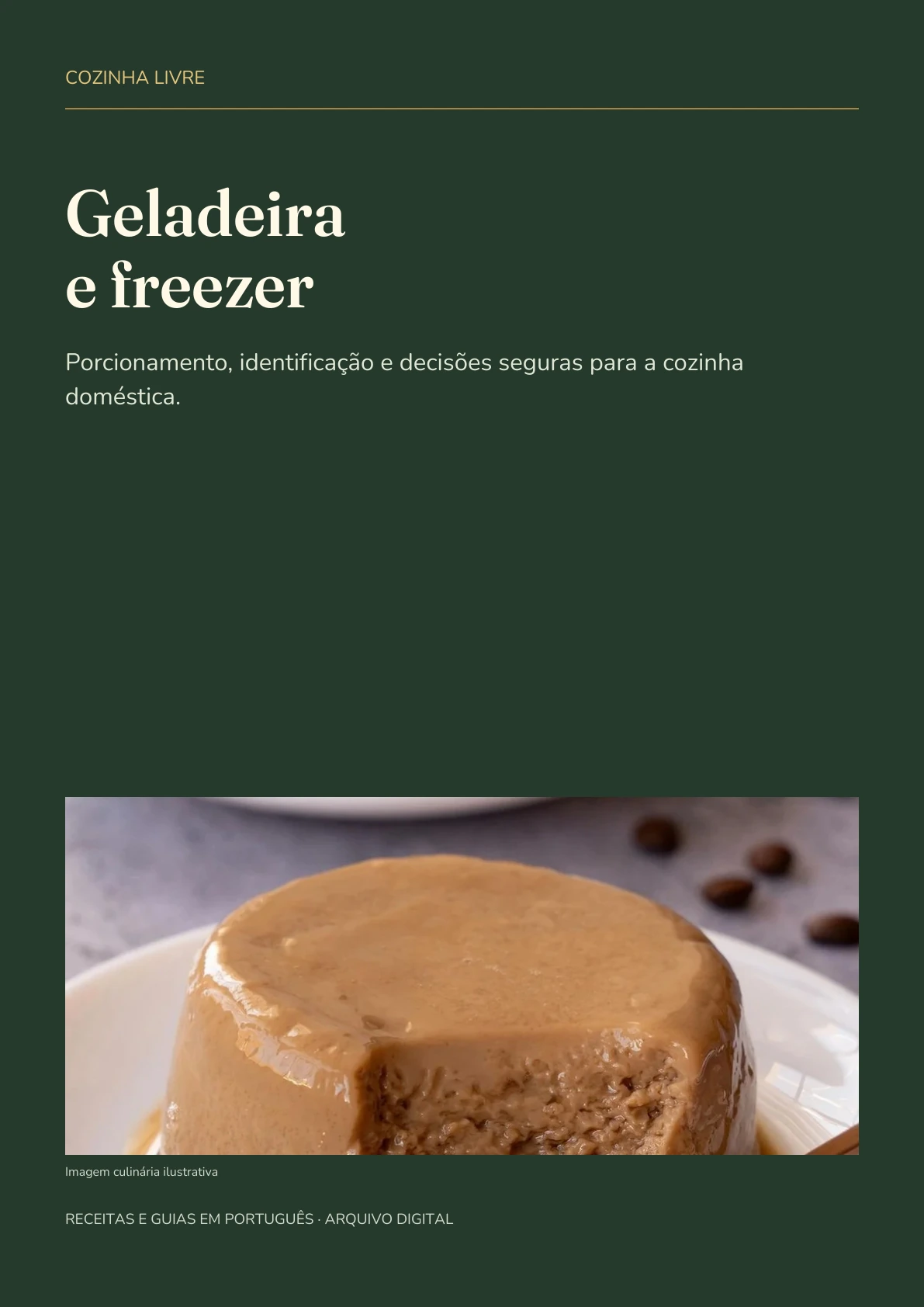 Capa real do PDF Geladeira e freezer